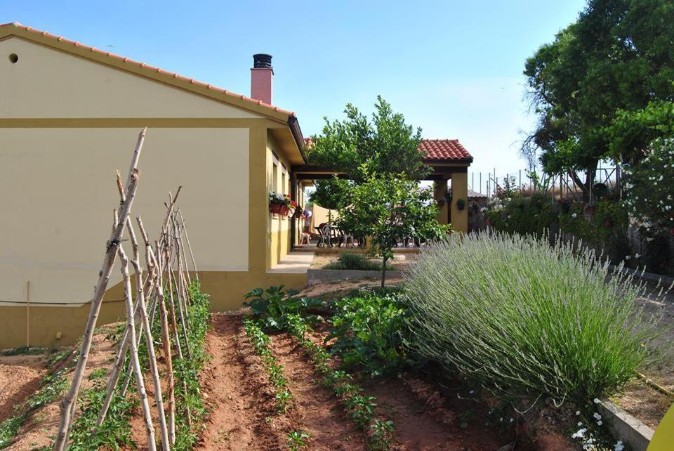 Apartamentos La Bodega Del Abuelo Bujalaro Luaran gambar